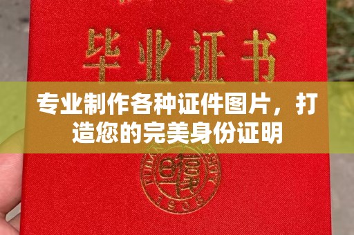 冀州专业制作各种证件图片，打造您的完美身份证明