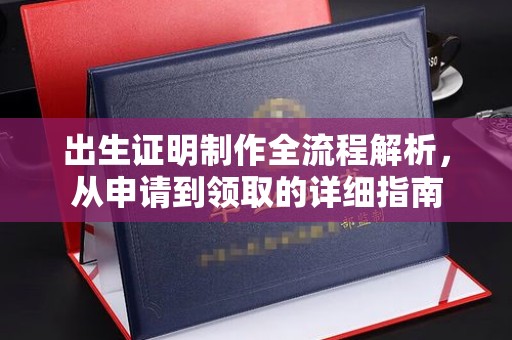 冀州出生证明制作全流程解析，从申请到领取的详细指南
