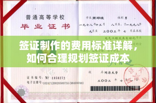 冀州签证制作的费用标准详解，如何合理规划签证成本