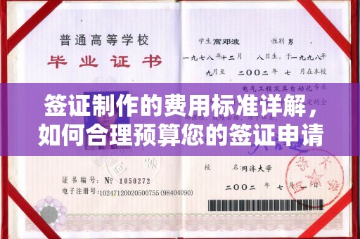 冀州签证制作的费用标准详解，如何合理预算您的签证申请成本